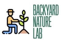 Backyard Nature Lab